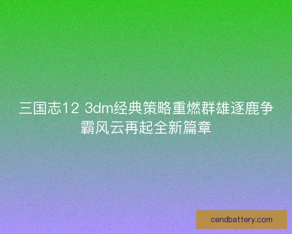 三国志12 3dm经典策略重燃群雄逐鹿争霸风云再起全新篇章 三国志12 3dm经典策略重燃群雄逐鹿争霸风云再起全新篇章