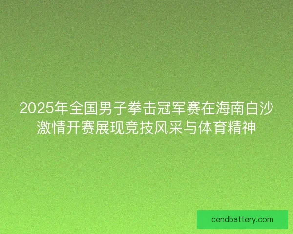 2025年全国男子拳击冠军赛在海南白沙激情开赛展现竞技风采与体育精神