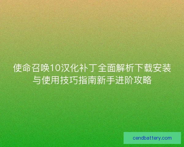 使命召唤10汉化补丁全面解析下载安装与使用技巧指南新手进阶攻略