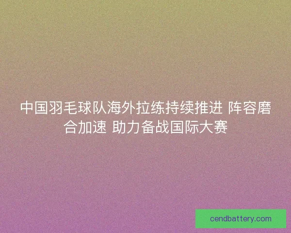 中国羽毛球队海外拉练持续推进 阵容磨合加速 助力备战国际大赛 中国羽毛球队海外拉练持续推进 阵容磨合加速 助力备战国际大赛