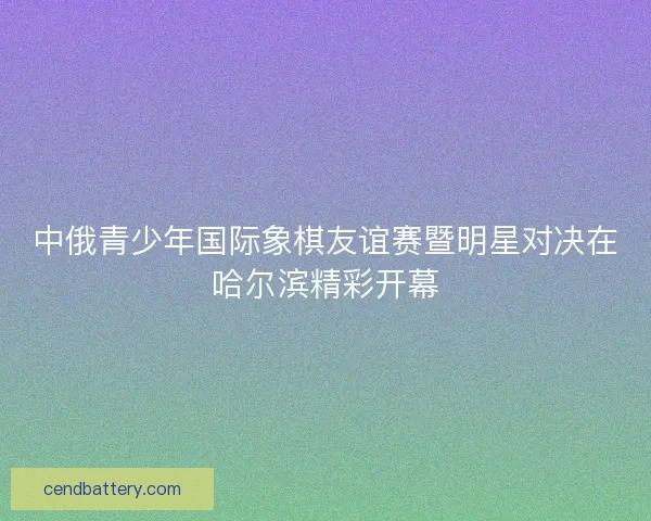 中俄青少年国际象棋友谊赛暨明星对决在哈尔滨精彩开幕 中俄青少年国际象棋友谊赛暨明星对决在哈尔滨精彩开幕