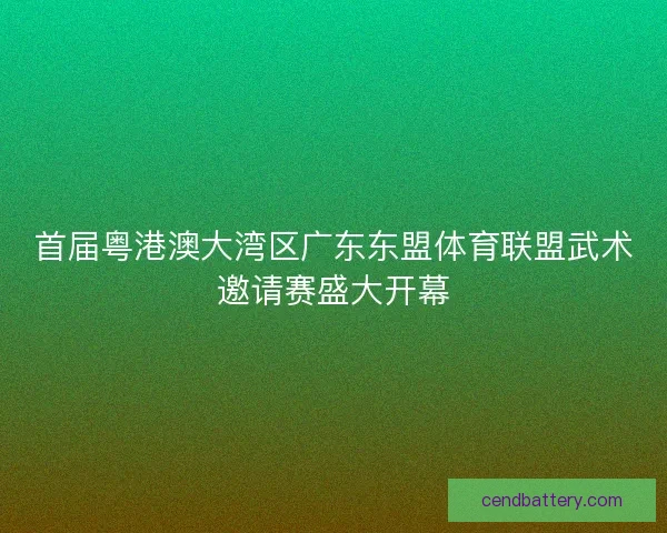 首届粤港澳大湾区广东东盟体育联盟武术邀请赛盛大开幕 首届粤港澳大湾区广东东盟体育联盟武术邀请赛盛大开幕
